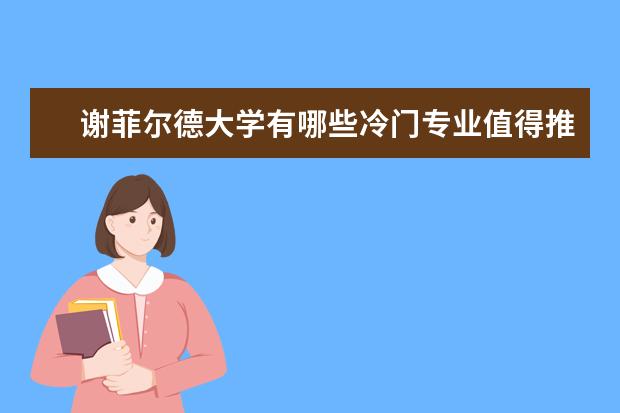谢菲尔德大学有哪些冷门专业值得推荐？