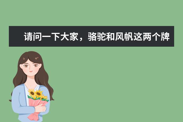 请问一下大家，骆驼和风帆这两个牌子汽车电瓶选哪个好一些？