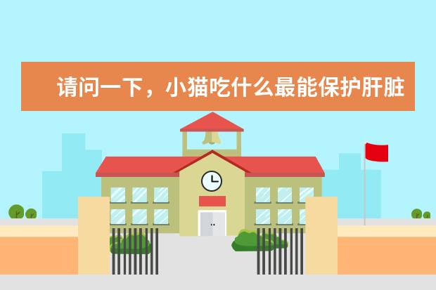 请问一下，小猫吃什么最能保护肝脏，小猫吃什么对肝脏比较好？