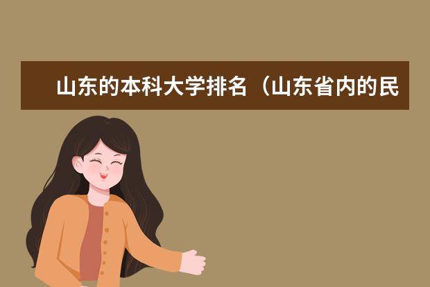 山东的本科大学排名（山东省内的民办本科大学的排名）