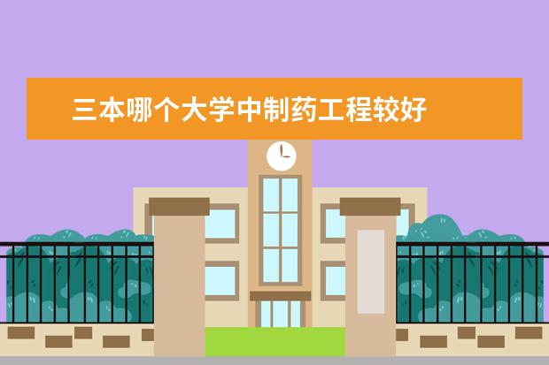 三本哪个大学中制药工程较好