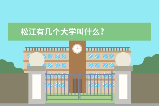 松江有几个大学叫什么?