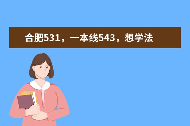 合肥531，一本线543，想学法律，可以上哪些学校，谢谢！！！