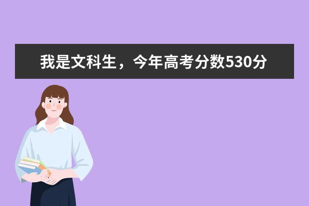 我是文科生，今年高考分数530分（本二切线494），请问一下，我这该如何填报志愿啊？填哪几所学校比较适...