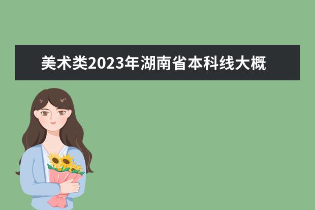 美术类2023年湖南省本科线大概是多少？