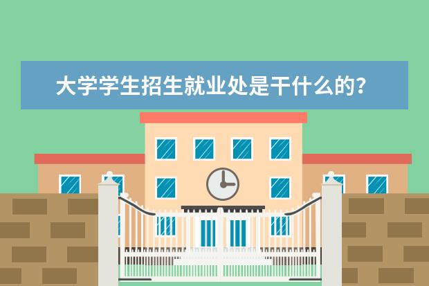 大学学生招生就业处是干什么的？