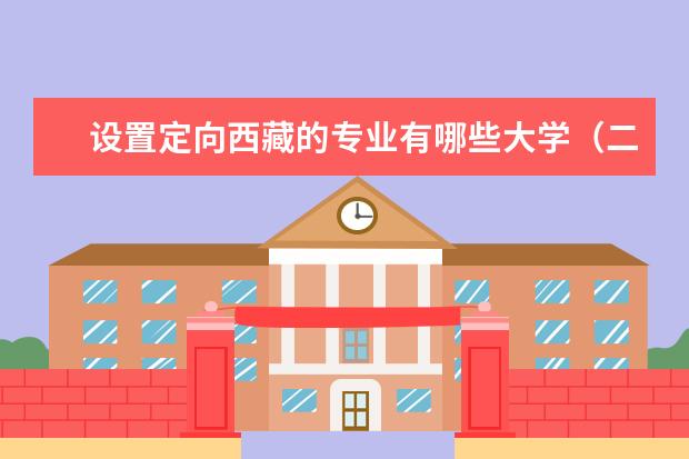 设置定向西藏的专业有哪些大学（二本）？汉族人去支教是在城市还是农村？会受民族歧视吗？社会治安如何？