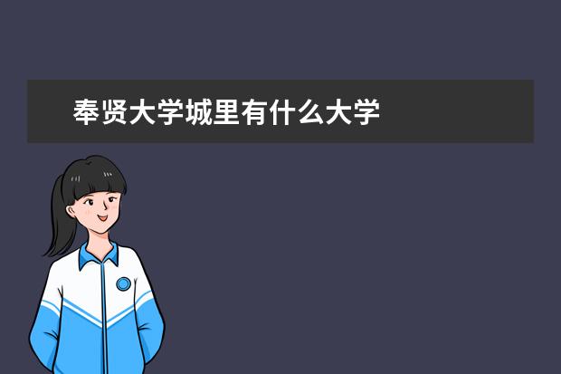 奉贤大学城里有什么大学