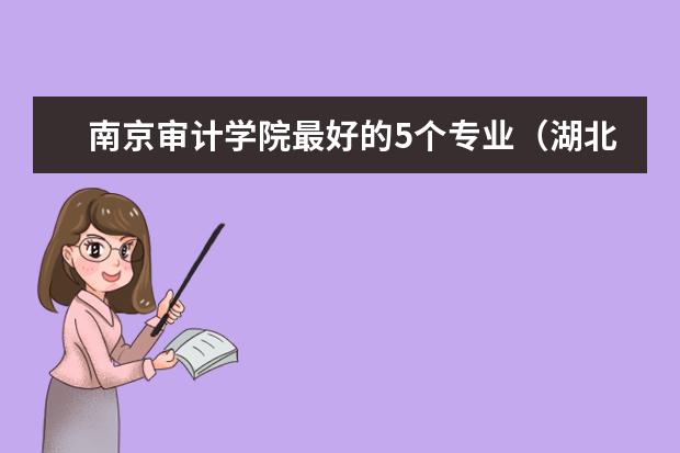 南京审计学院最好的5个专业（湖北经济学院、宁波大学、江南大学、杭州大学、苏州大学、南京财经、南京审计分数线）