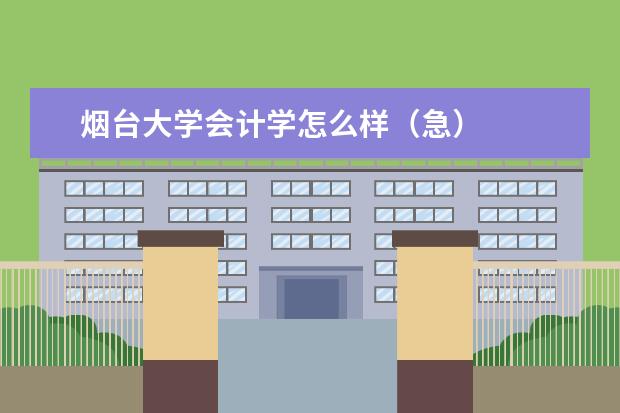 烟台大学会计学怎么样（急）