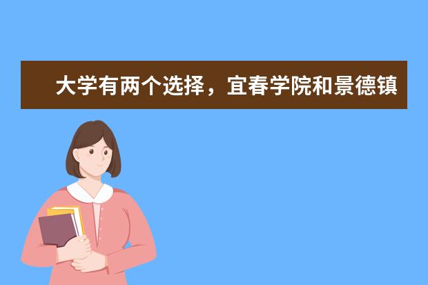 大学有两个选择，宜春学院和景德镇陶瓷学院，请问综合考虑选哪个好。分析全面点，谢谢了