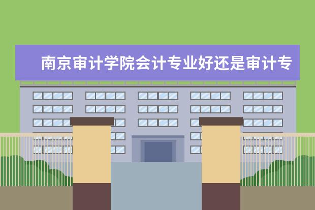 南京审计学院会计专业好还是审计专业好？ 请问哪所学校开设有审计学这个专业？