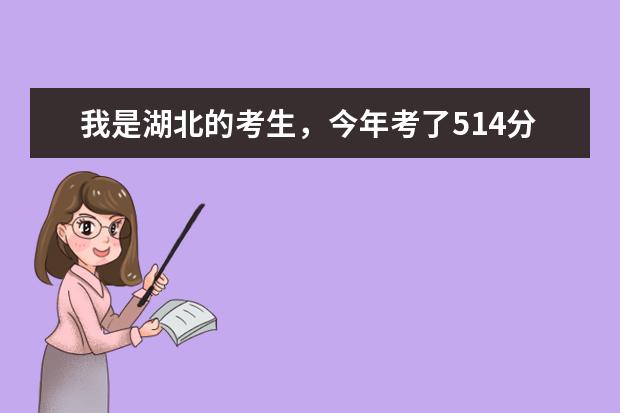 我是湖北的考生，今年考了514分，可以报个什么学校？