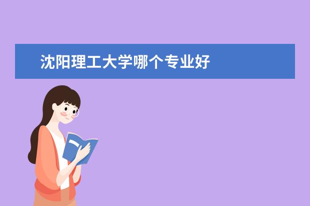 沈阳理工大学哪个专业好