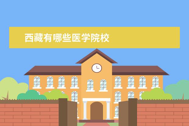 西藏有哪些医学院校