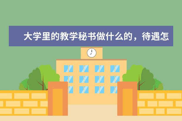 大学里的教学秘书做什么的，待遇怎么样