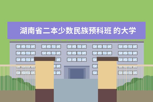湖南省二本少数民族预科班 的大学有哪些‘