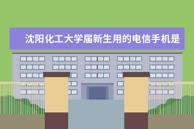 沈阳化工大学届新生用的电信手机是什么牌子的