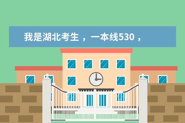 我是湖北考生 ，一本线530 ，我考了543。 能报么大学啊？谢谢！（湖北有那些好的大学？）