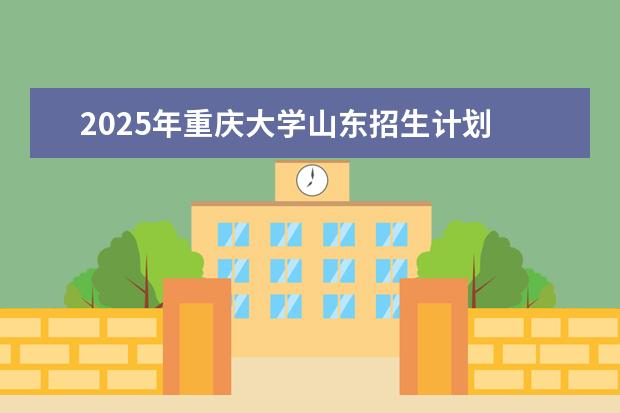2025年重庆大学山东招生计划